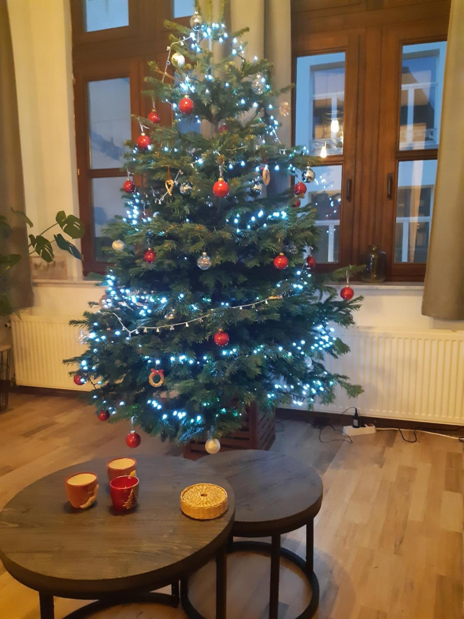 Appartement Het Maelslot à Malines Extérieur photo